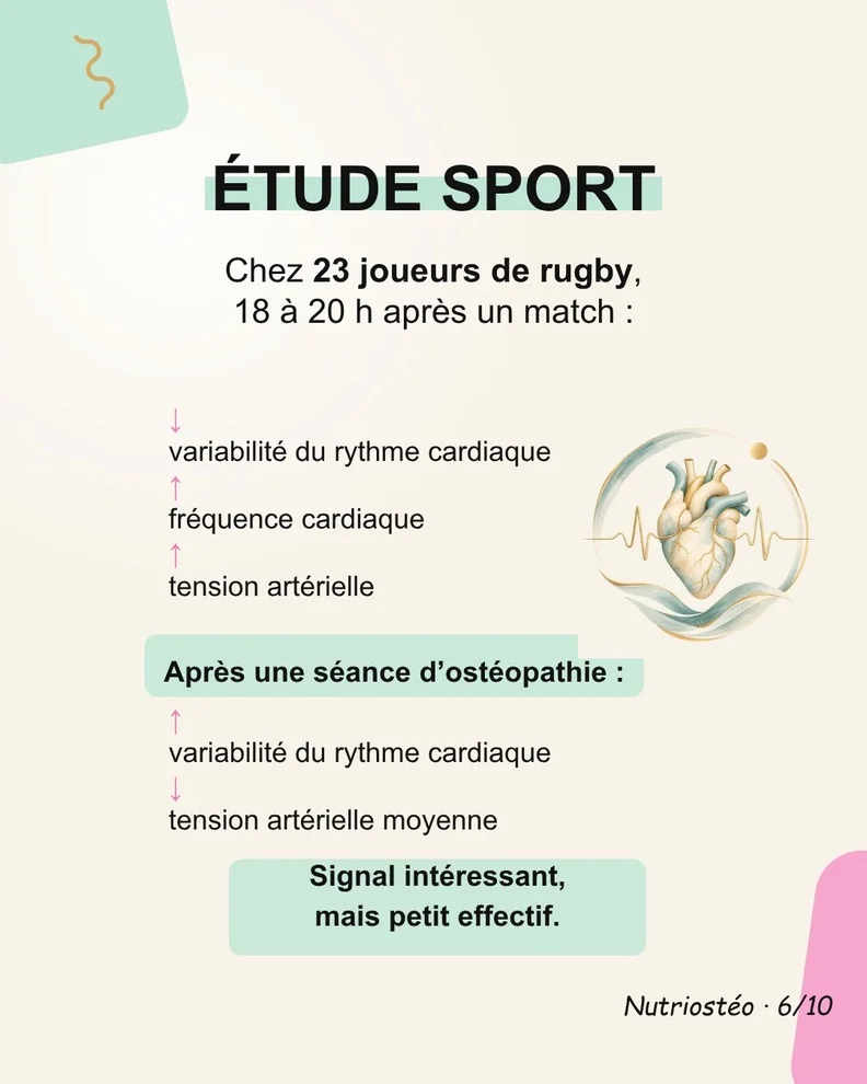 Diapositive 6 sur 10 : L’essai chez 23 joueurs de rugby